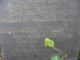 image of grave number 141363